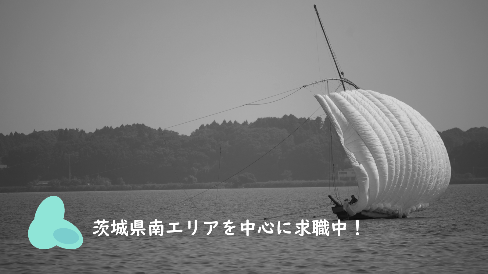 絶賛、仕事募集中