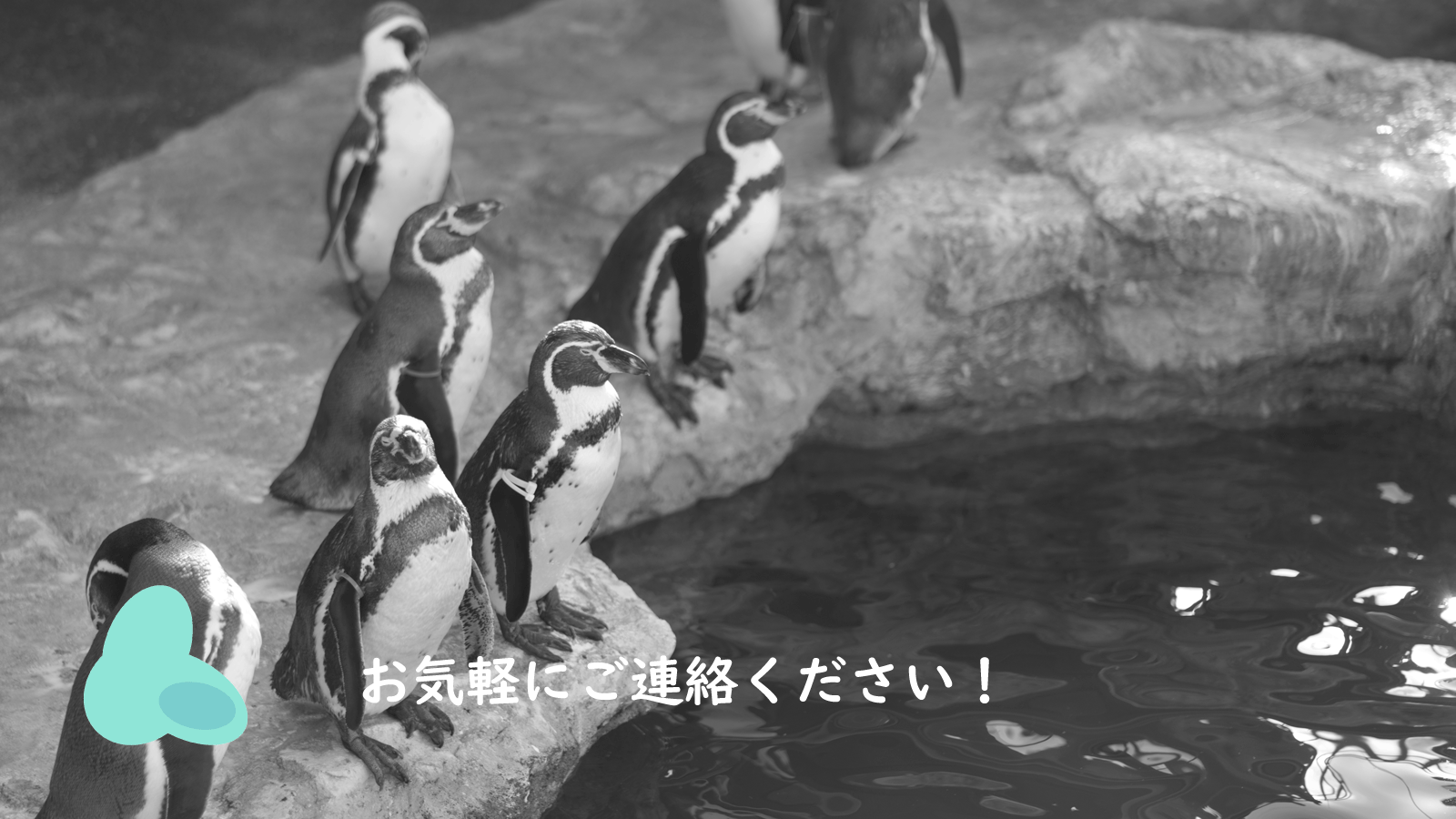 お気軽に連絡ください