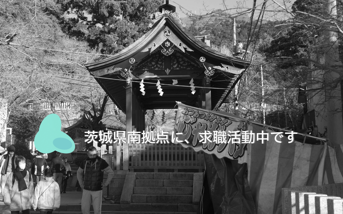 絶賛、仕事募集中