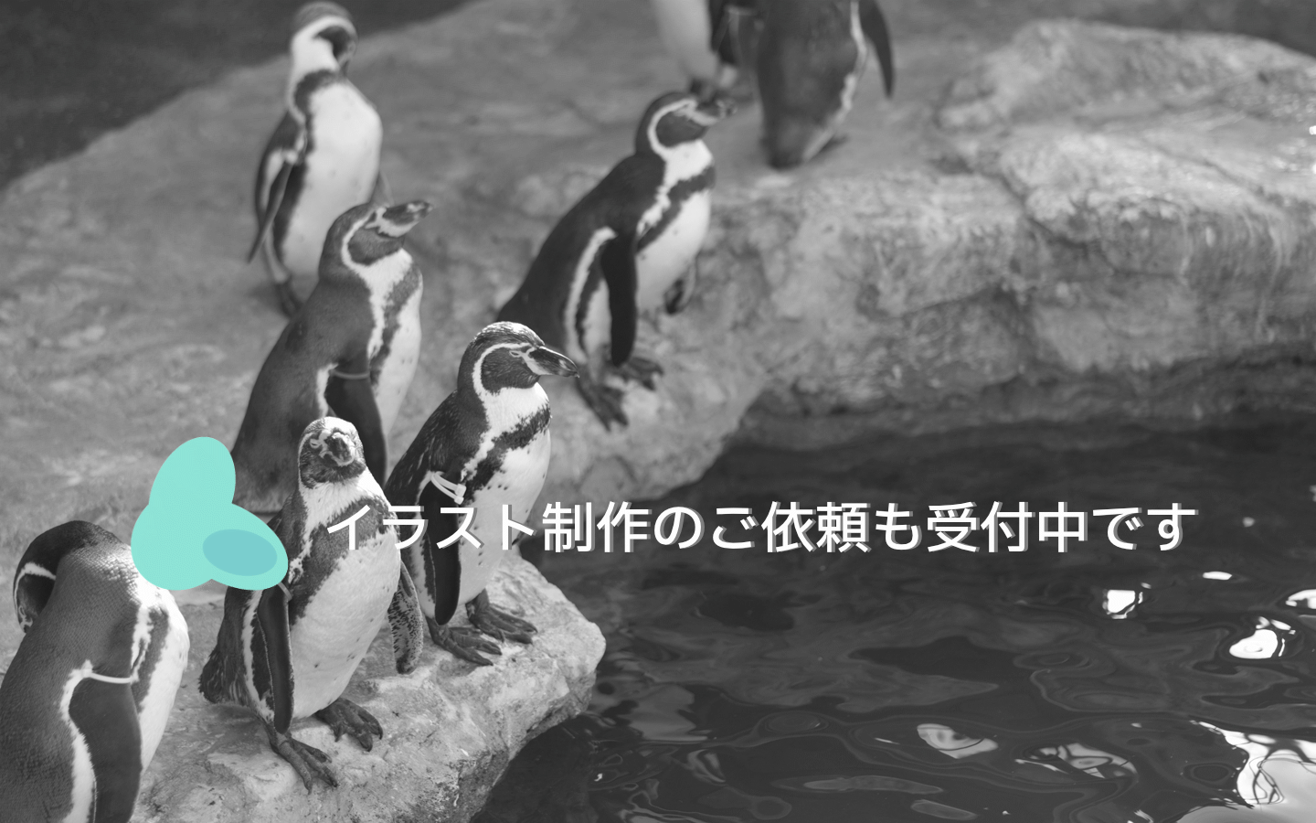 お気軽に連絡ください